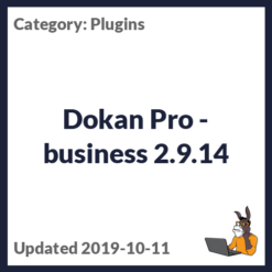 Dokan Pro - business