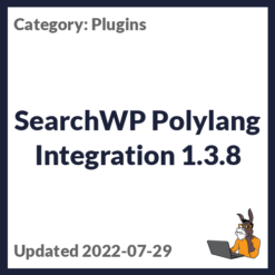 SearchWP Polylang Integration