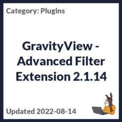 GravityView - Advanced Filter Extension