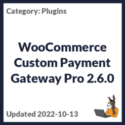 WooCommerce Custom Payment Gateway Pro