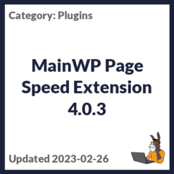 MainWP Page Speed Extension