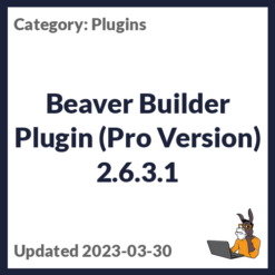 Beaver Builder Plugin (Pro Version)