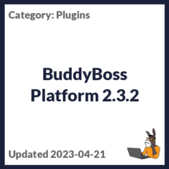 BuddyBoss Platform