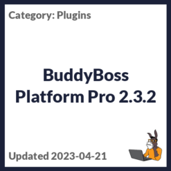BuddyBoss Platform Pro